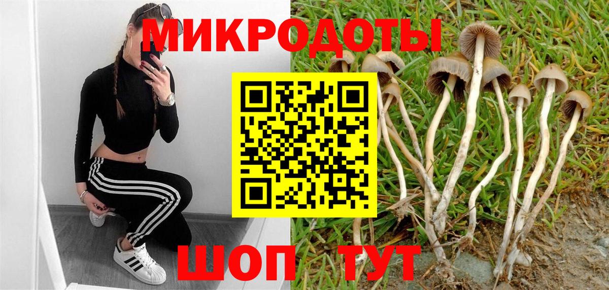 Кропоткин  Галлюциногенные грибы MAGIC MUSHROOMS  Вход с VPN  Псилоцибиновые грибы Psilocybine cubensis 